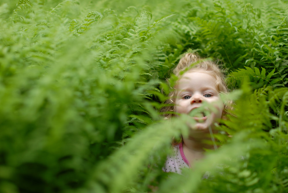 Brevard NC children's photographer