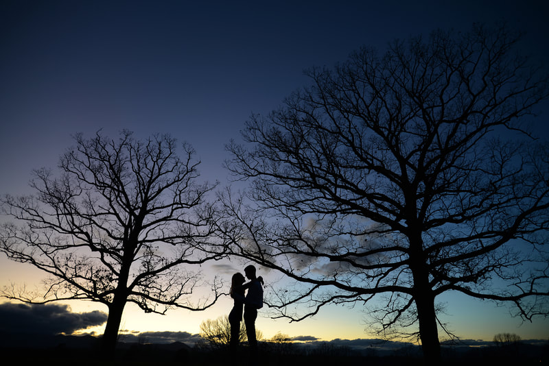 Asheville NC engagement photos Biltmore House