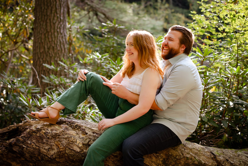 Carl Sandburg House engagement photos