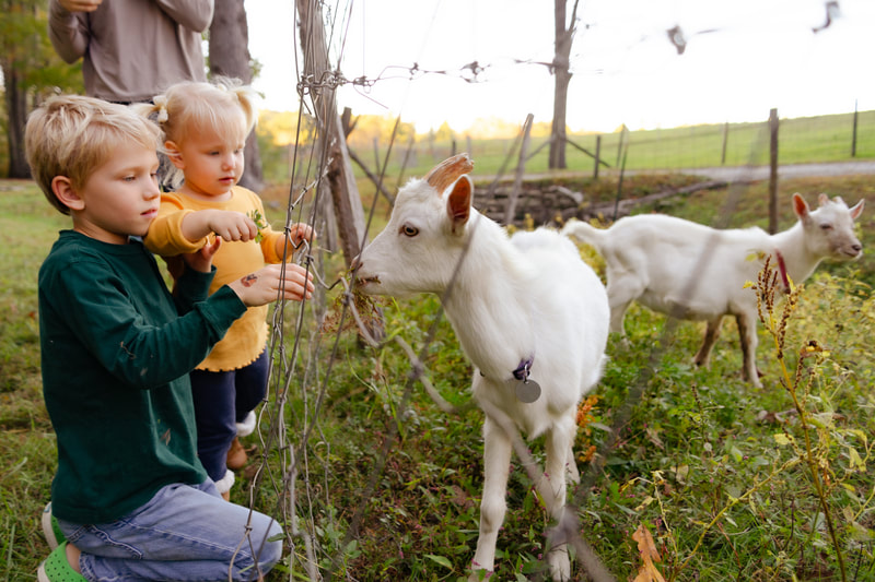 Brevard, NC Family Portraits